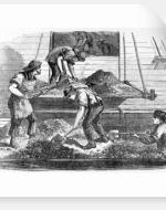 Men shovel coal from a ship