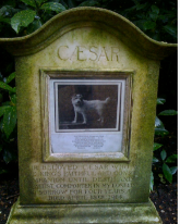 Figure 2 Grave, dated 1914, at the Royal Pet Cemetery, Marlborough House