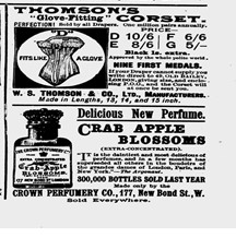 Figure 1. “Advertisement,” Ludgate Monthly, May 1891, 10. 