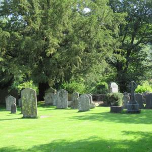 Yew Trees, St. Oswald's Church