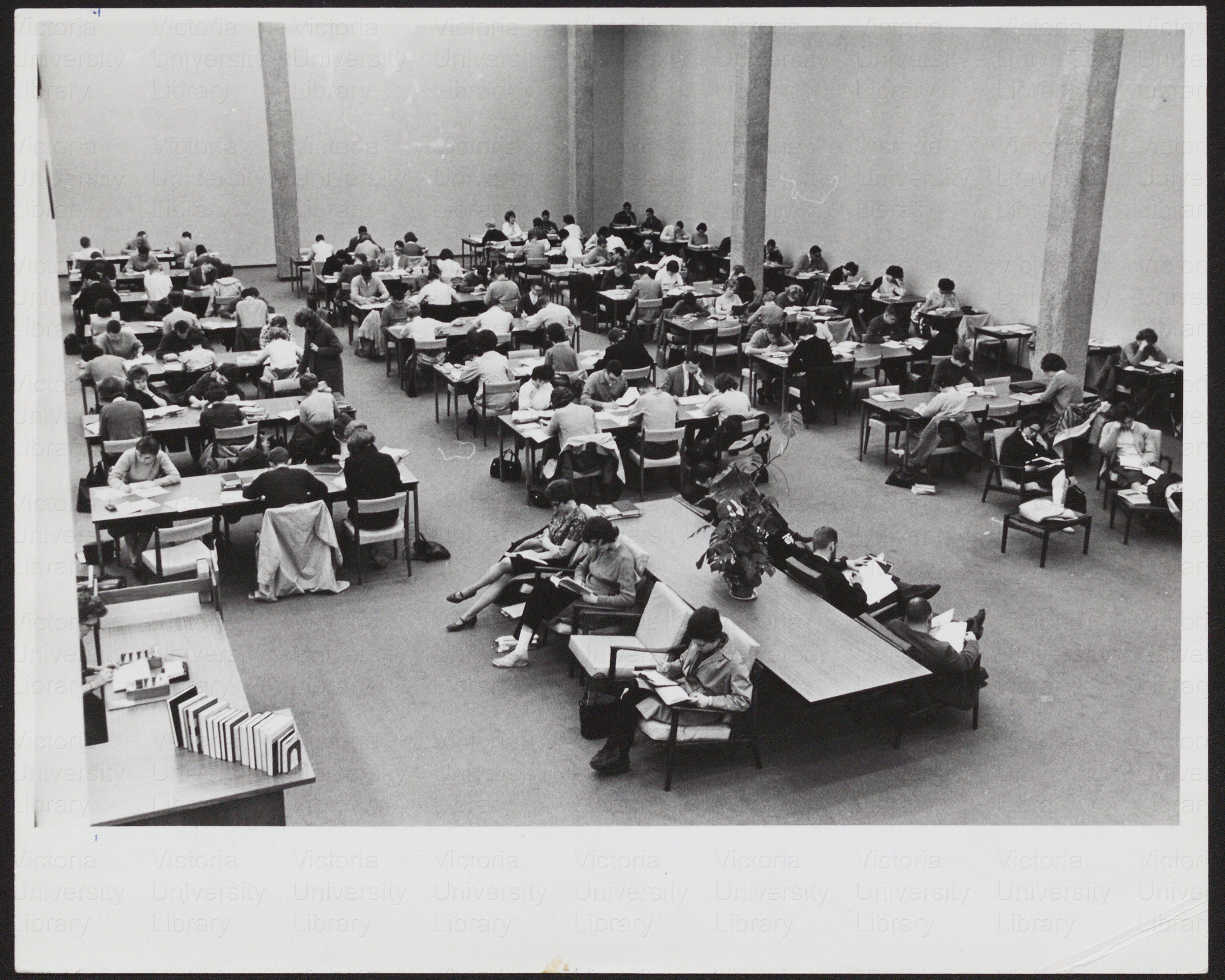 Students studying in the Reading Room