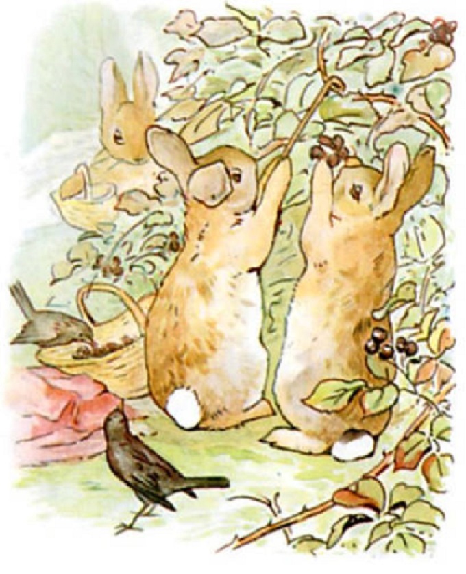 The Legacy of Beatrix Potter: artist, naturalist and conservationist — The  Bristorian