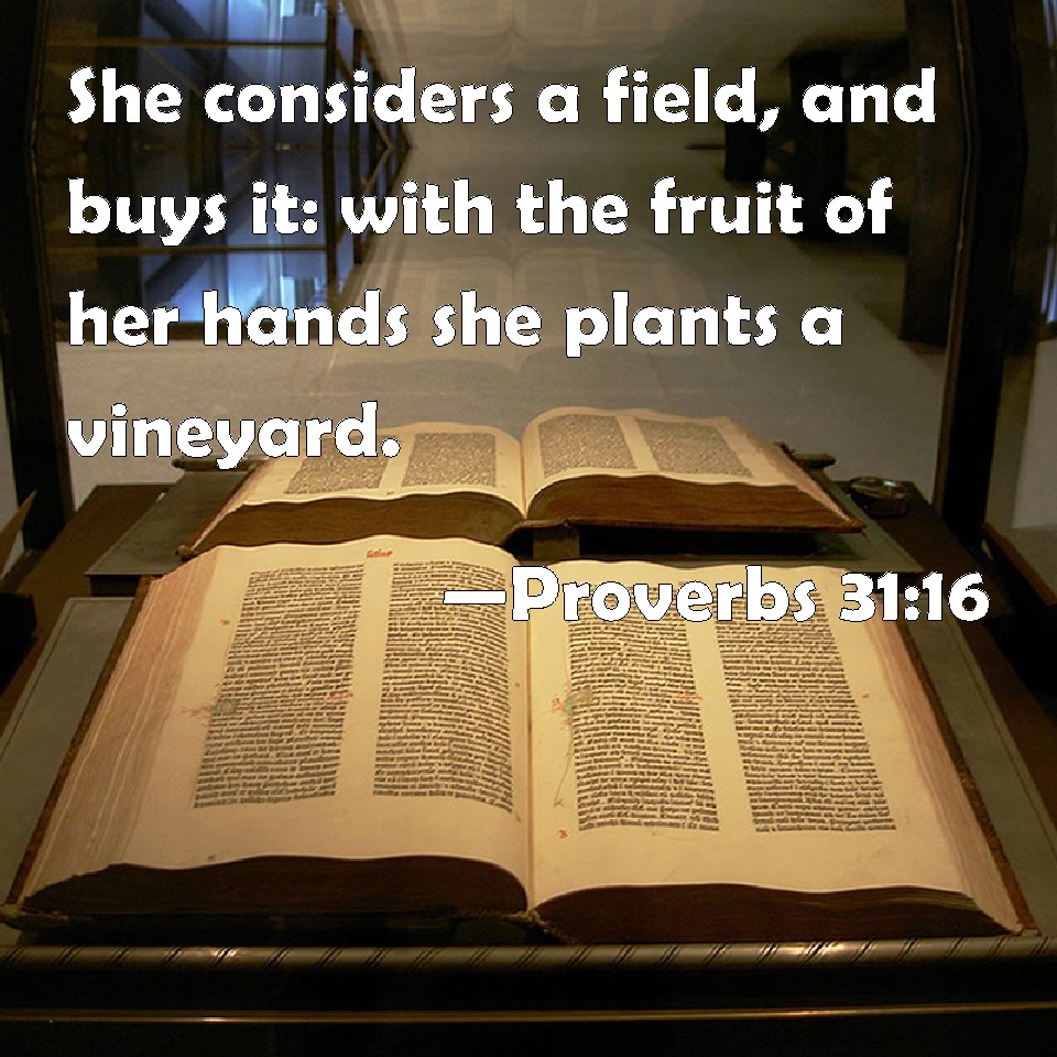 Proverbs 31: 16-17 | COVE