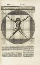 Vitruvius's sketches on human proportions 
