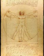 A drawing of da Vinci's Vitruvian Man