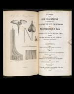 Illustration of chimney stack and tools sued by chimney sweepers. 