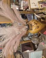 Coleman 2 constructed