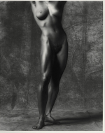 Mapplethorpe, Robert. Lisa Lyon, torso. 1981. 