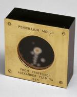 Sample of "Penicillin Mould" from Alexander Fleming