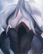O'Keeffe Black Iris