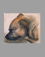 Colored painting of Keeper by Emily Brontë ca. 1838