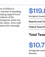 Immigrant Taxes & Spending Power