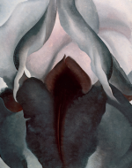 O’Keeffe, Georgia. Black Iris. 1926.