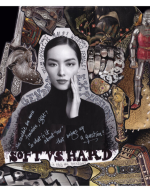 Stein, Linda. Gender Scrambling 850: Soft vs Hard. 2015. 