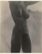 Stieglitz, Alfred. Nude Portrait of O’Keeffe.
