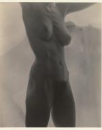 Stieglitz, Alfred. Nude Portrait of O’Keeffe.