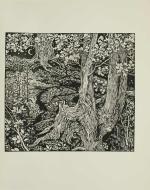 A Study of Trees by Mary Newill p.32