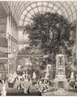 The Great Elm