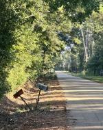 For argument, I showed more human involvement against the nature by also showing our damaged mailboxes. It takes the viewers eyes away from the symmetricalness of the shot.