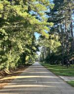 For the framed shot, I saw the perfect symmetry of the roads and the street and tried to capture how endless it seems. The upcoming turn is too far down from our house to notice, so it simply looks like a never-ending straight line.