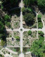 Padua Botanical Garden Currently