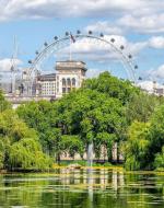 Photo shows the lake at St. James's Park with trees and the London Eye in the background.