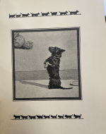 This is a picture of the Scottish Terrier that is presumably named 'Socks' that inspired this edition. It is the only real photograph in the entire edition., This is the hardback cover of the edition. It shares the same photograph of the Scottish terrier as that in the frontispiece., This is the epigraph that quotes three paragraphs of Senator George Graham Vest's speech entitled 'Eulogy of the dog.', This is a drawing of the terrier begging for food from its owner. 
