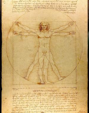 A drawing of da Vinci's Vitruvian Man