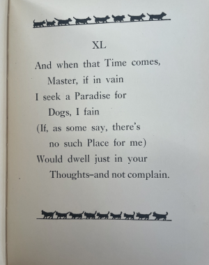 Image of 'Socks' overlooking a pond with swans, Last stanza of the edition
