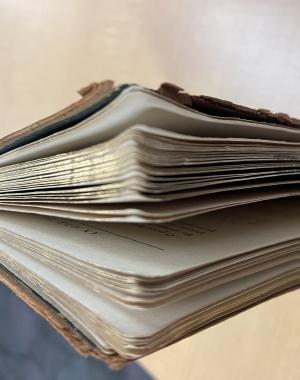 gold gilded page edges