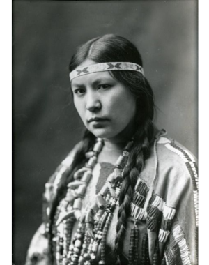 a 3/4 view portrait of Mourning Dove