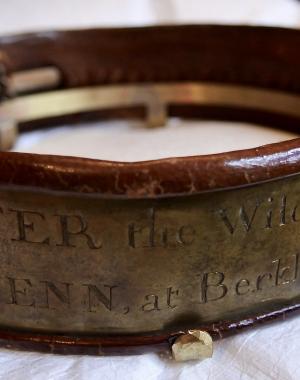 Collar belonging to Peter the Wild Boy