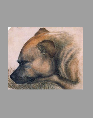 Colored painting of Keeper by Emily Brontë ca. 1838
