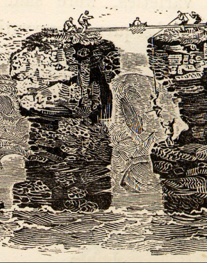 Thomas Bewick uncaptioned, 1804, from Wikipedia