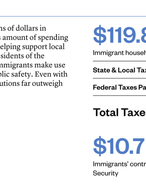 Immigrant Taxes & Spending Power