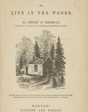 Cover of Walden by Henry David Thoreau