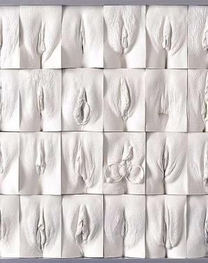 Jamie McCartney's 2011 The Great Wall of Vagina