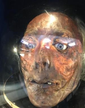 Jeremy Bentham's Preserved Head