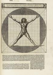 Vitruvius's sketches on human proportions 
