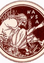 NAVSA logo