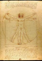 A drawing of da Vinci's Vitruvian Man