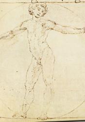 Francesco di Giorgio’s sketch of Vitruvian Man features a semi-turned male figure enclosed within a perfect circle centered around the genitals. 