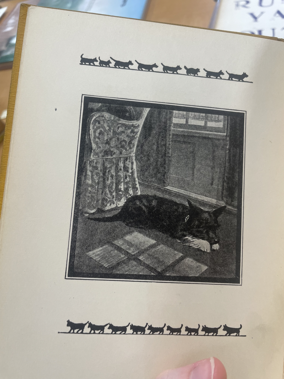 Image of Scottish terrier running down the stairs after being chastised by a maid. , Picture of stanza three in the edition, Image of Scottish terrier sleeping next to a plush cushion chair