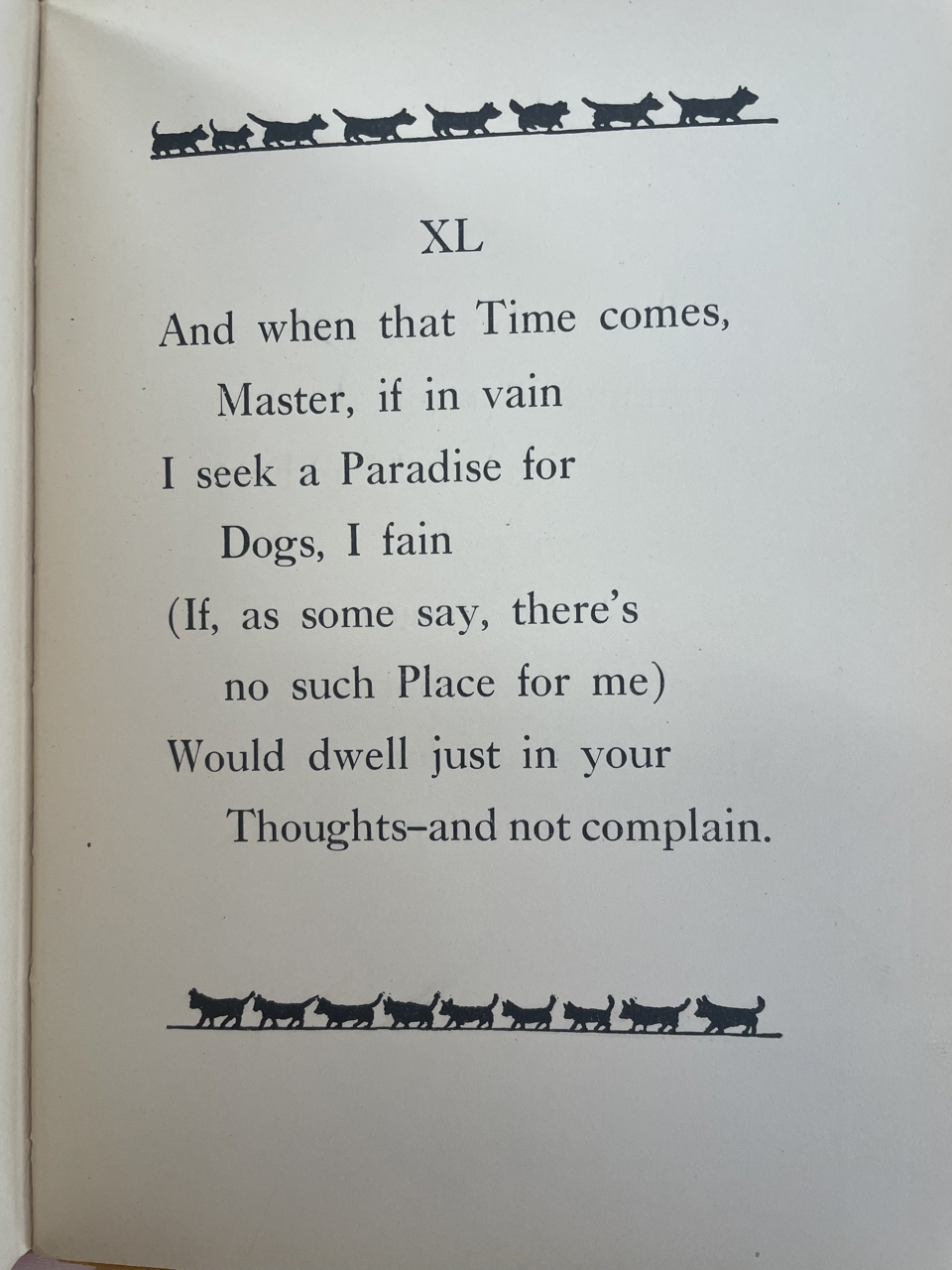 Image of 'Socks' overlooking a pond with swans, Last stanza of the edition