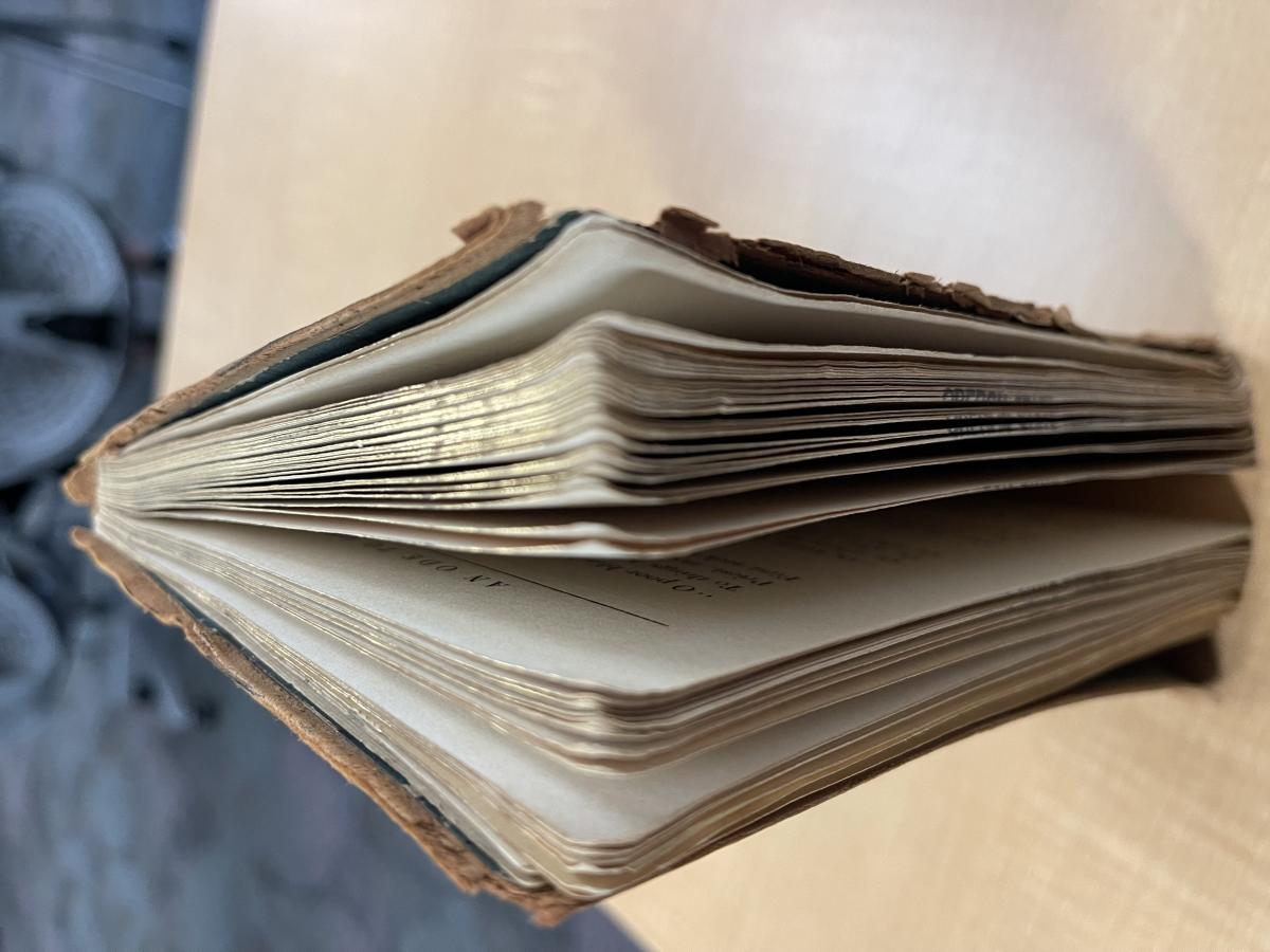 gold gilded page edges