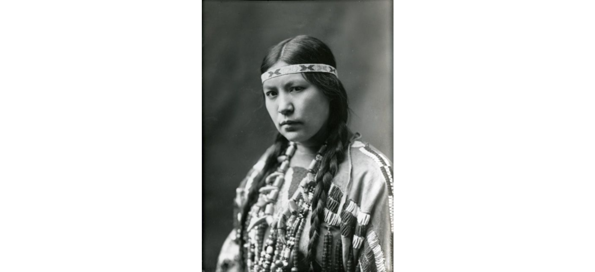 a 3/4 view portrait of Mourning Dove