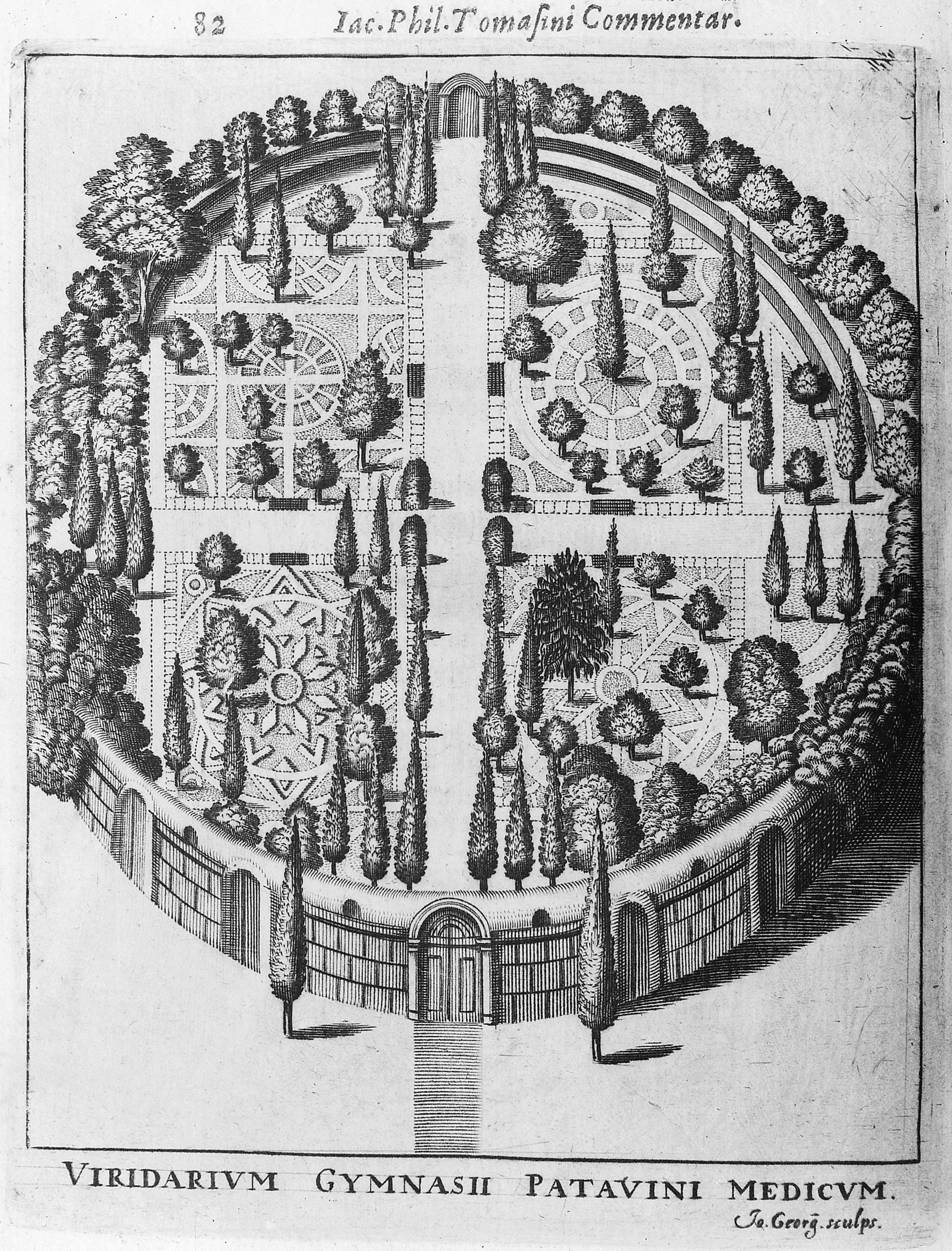 Sketch of Padua Botanical Garden's layout