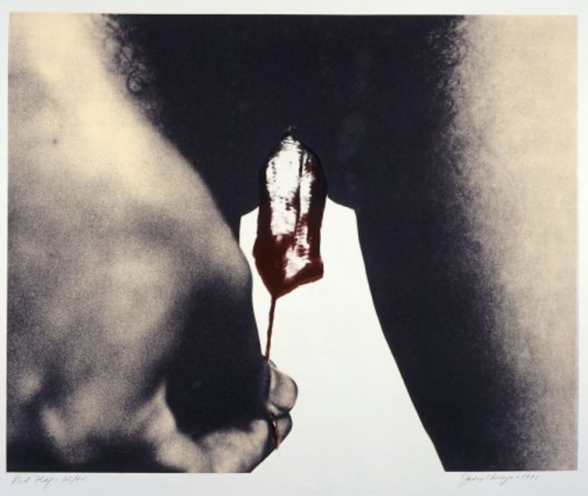 Georgia Okeefe's 1926 Black Iris, Judy Chicago's 1971 Red Flag