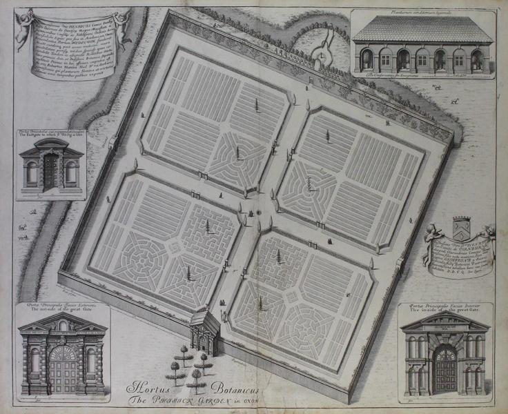 Oxford Botanic Garden Sketch - 1675 by Loggan, David