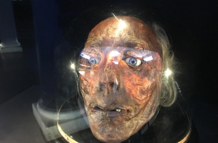 Jeremy Bentham's Preserved Head